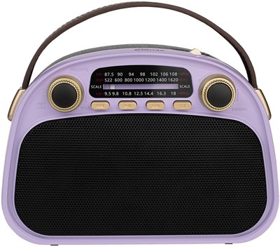 Радиоприёмник Ritmix RPR-040 Lavender 248188