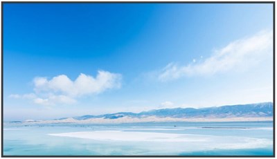 ЖК панель Exell 55" EXPD-DA55AM5 248647