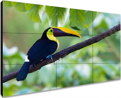 ЖК панель Exell 55" EXPD-WA55AB05 248700