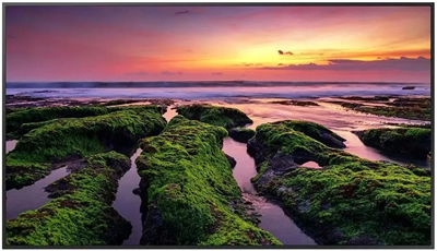ЖК панель Samsung 75" QB75B 248710