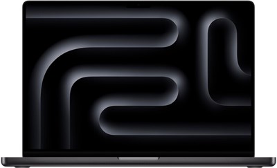 Ноутбук Apple MacBook Pro 16 Space Black (M4 Pro, 2024) (MX2Y3RU/A) 216177
