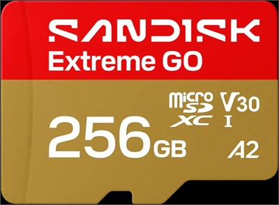 Карта памяти 256GB MicroSD SanDisk Extreme GO (SDSQXGN-256G-GN6MN) 217720