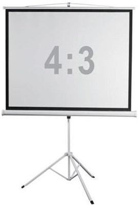 Экран Digis Kontur-D 248x189см MW (DSKD-4304) 222958