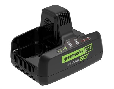 Зарядное устройство Greenworks 2954407 205293