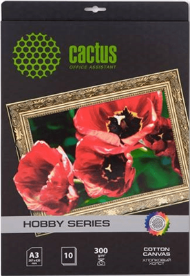 Холст Cactus CS-CA326010 225397