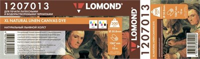 Холст Lomond 1207013 225620