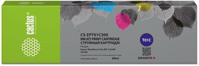 Картридж Cactus CS-EPT01C300 Magenta 227883