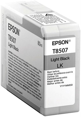 Картридж Epson C13T850700 Light Black 230838