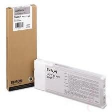 Картридж Epson C13T606700 Light Black 231818