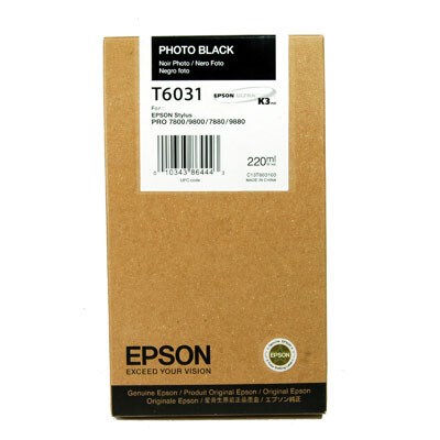 Картридж Epson C13T603100 Photo Black 231862