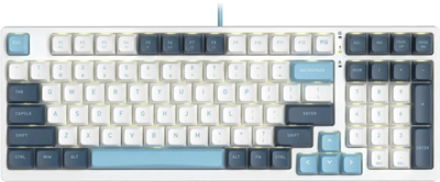 Клавиатура A4Tech Fstyler FS300 Panda Snowboarding 233649