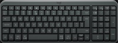 Клавиатура Logitech K250 Graphite (920-013452) 233902