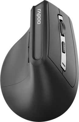 Мышь Rapoo EV310M Black 236087