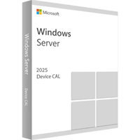 ПО Microsoft Windows Server CAL 2025 English 1pk DSP OEI 5 Clt Device CAL (EP2-25243) 213473