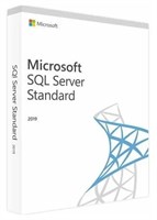 ПО Microsoft SQL Server Standard Edition 2019 English DVD 10 Client (228-11548) 213483