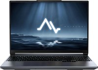 Ноутбук Maibenben Typhoon X16C-i54456 (0F44LG4E10) 216697