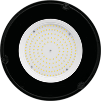 Светильник Wolta UFO-100W/01 205006