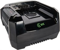Зарядное устройство Greenworks G82C 205287