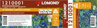 Холст Lomond 1210001 225618