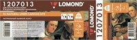 Холст Lomond 1207013 225620