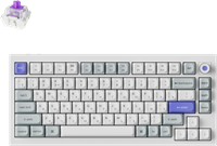 Клавиатура Keychron Q1 HE 8K (Q1HW-P1P-RU) 233880