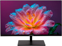 Монитор IRBIS 24" Mir View (R24FIDS123.100_MIR) 235349