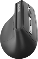 Мышь Rapoo EV310M Black 236087