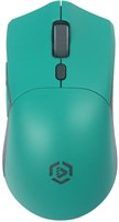 Мышь Raskat MG009WR Green 236152