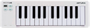 MIDI-клавиатура Arturia MicroLab 3 White 247837