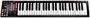 MIDI-клавиатура Native Instruments KOMPLETE KONTROL A25 247856
