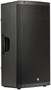 Акустическая система PROEL DIVA15A 248000