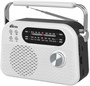 Радиоприёмник Ritmix RPR-045 White 248184
