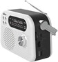 Радиоприёмник Ritmix RPR-045 White 248184
