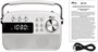 Радиоприёмник Ritmix RPR-705 White 248202