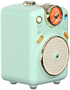 Портативная акустика Divoom Fairy-2 Green 248479