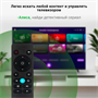 ЖК телевизор Digma 43" DM-LED43SBB33 249117