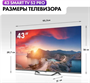ЖК телевизор Haier 43" DH1PM9D00RU 249197