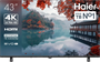 ЖК телевизор Haier 43" DH1PM9D00RU 249197