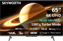 ЖК телевизор Skyworth 65" 65X66H 249268