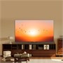 ЖК телевизор Skyworth 75" 75X87G 249386