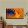 ЖК телевизор Skyworth 75" 75X87G 249386