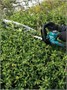 Кусторез Makita UH020GD101 206231