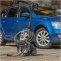 Мойка высокого давления Bort KEX-3500 206287