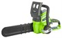 Электропила Greenworks G24CS25 (2007707) 208187
