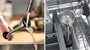 Блендер Bosch MSM4W210 201821