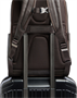 Рюкзак для ноутбука Piquadro Laptop Backpack 15" Dark Brown (CA6503B3/TM) 215658