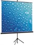 Экран ViewScreen Clamp 150x86см (TCL-16901) 222866