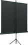 Экран Lumien Eco View 150x150 Matte White 222871