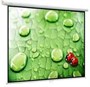 Экран ViewScreen Lotus 171x128см (WLO-4302) 222892