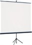 Экран Lumien Eco View 104x186 Matte White (LEV-100113) 222895